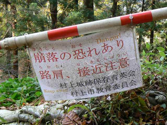P1050409-1600.JPG