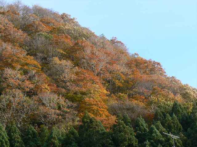 P1050416-1600.JPG