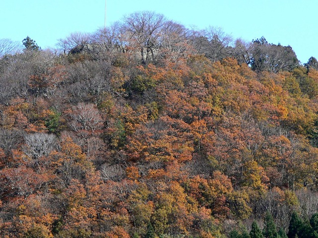 P1050442-2048.jpg