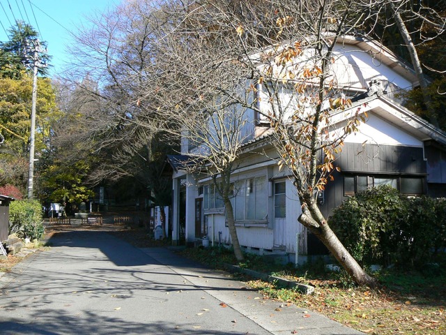 P1050463-2048.jpg