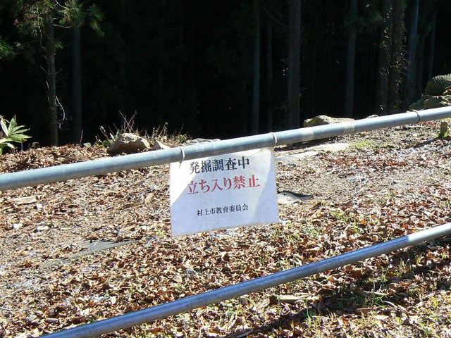 P1050472-2048.jpg