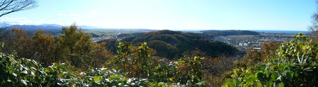 P1050516-4900.jpg