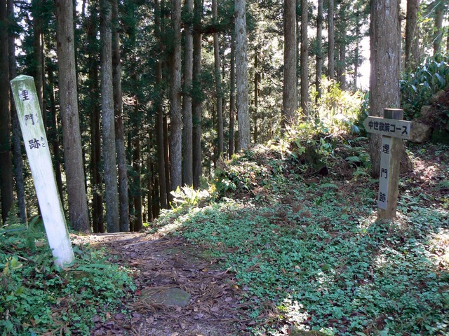 P1050520-2048.jpg