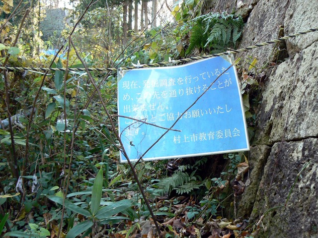 P1050525-2048.jpg