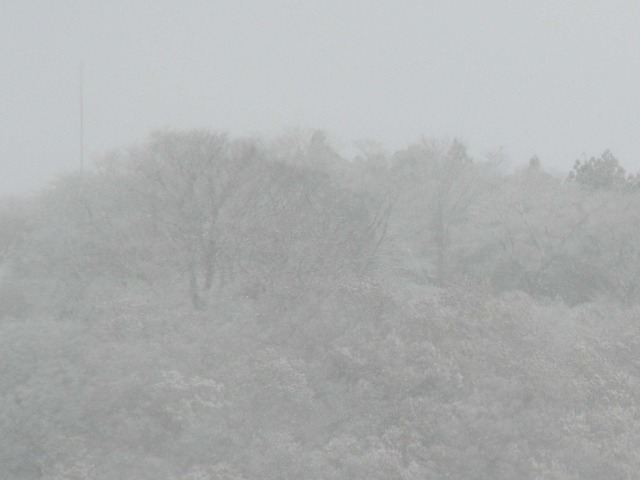 P1050550-2048.jpg