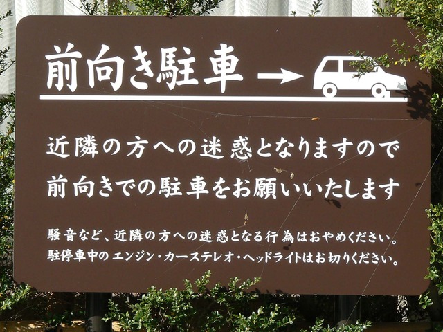 P1050562-2048.jpg