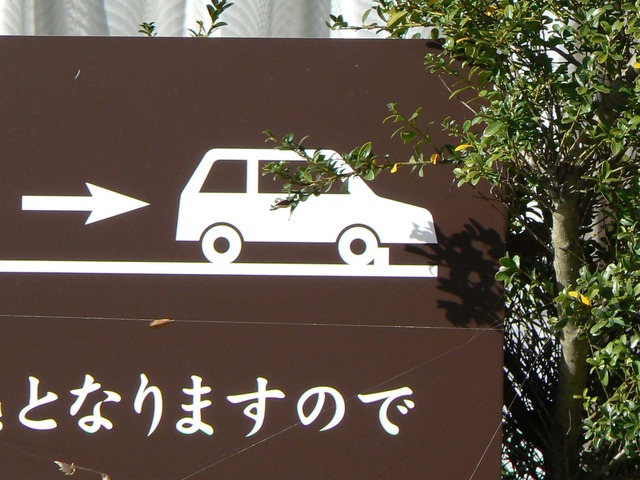 P1050564-2048.jpg