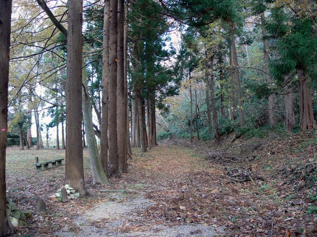 P1050572-2048.jpg