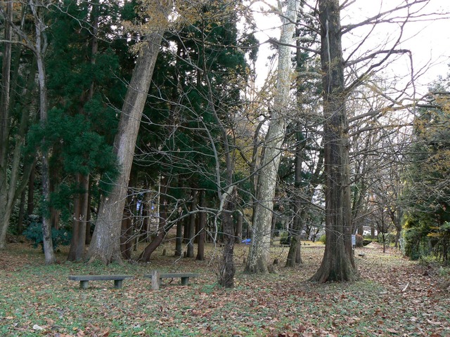 P1050573-2048.jpg
