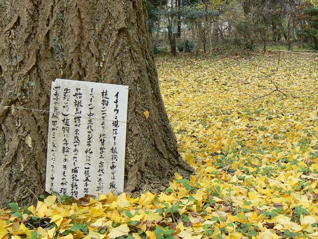 P1050584-2048.jpg