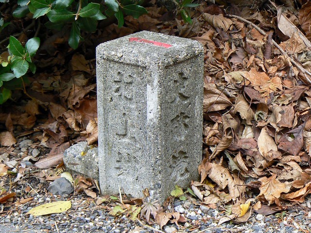 P1050593-2048.jpg
