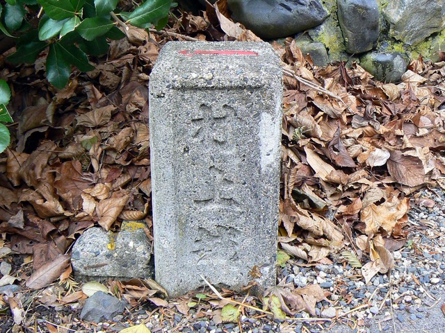 P1050594-2048.jpg