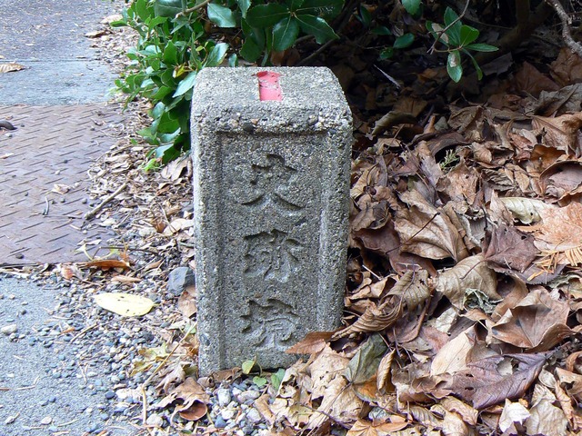 P1050595-2048.jpg