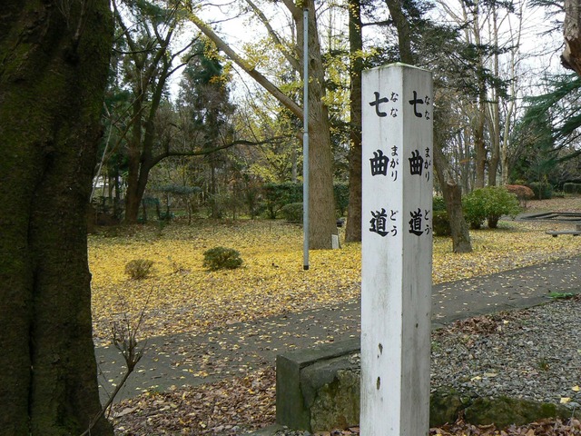 P1050602-2048.jpg