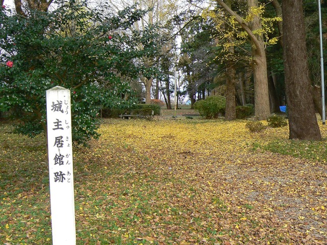 P1050624-2048.jpg