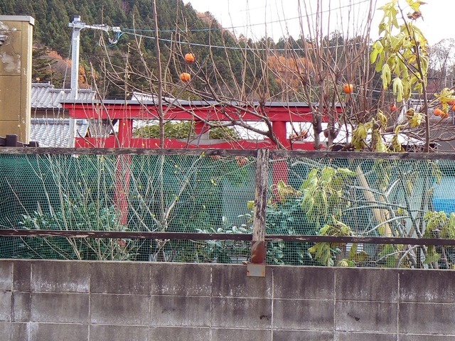 P1050629-2048.jpg