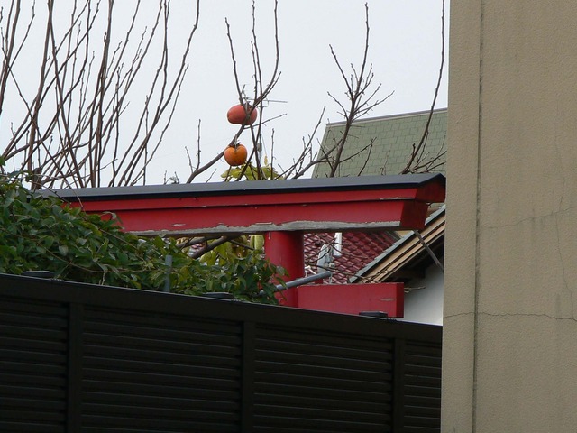 P1050630-2048.jpg
