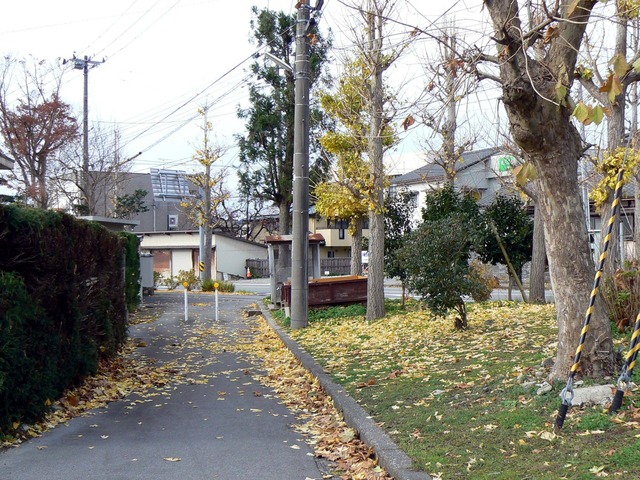 P1050631-2048.jpg