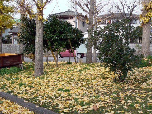 P1050632-2048.jpg