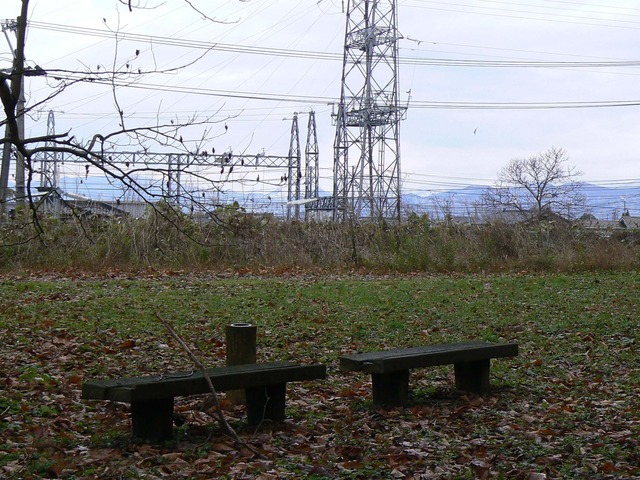 P1050652-2048.jpg
