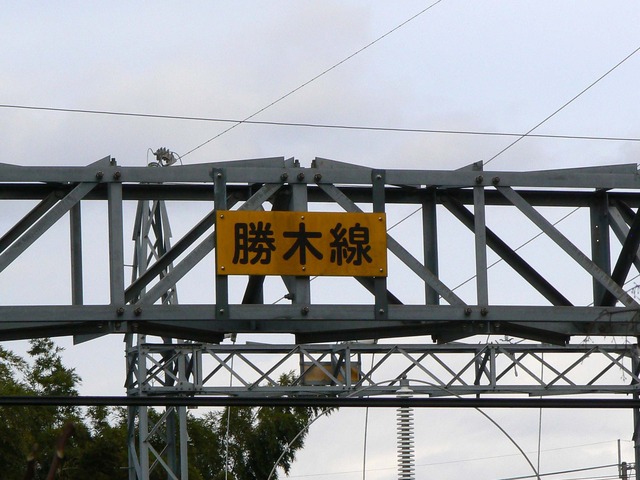 P1050674-2048.jpg