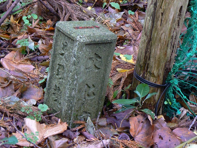 P1050693-2048.jpg