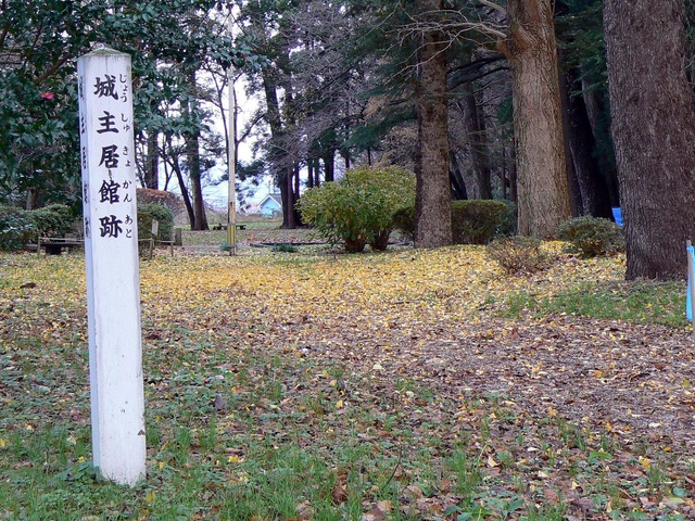 P1050695-2048.jpg