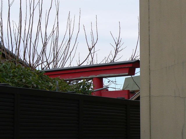 P1050719-2048.jpg