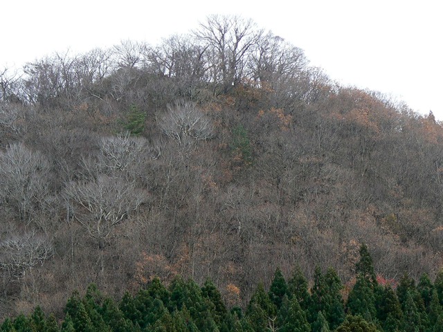 P1050720-2048.jpg