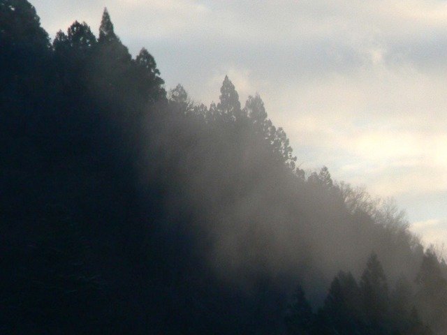 P1050751-2048.jpg
