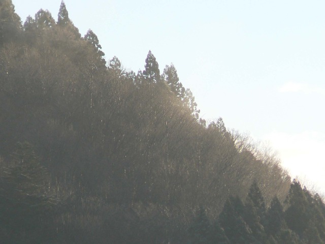 P1050755-2048.jpg