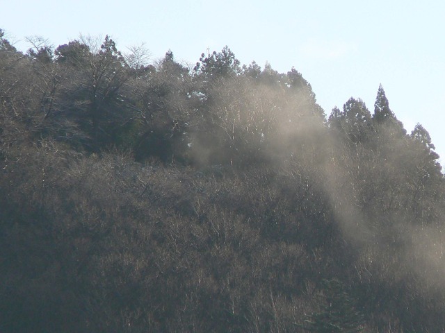 P1050756-2048.jpg