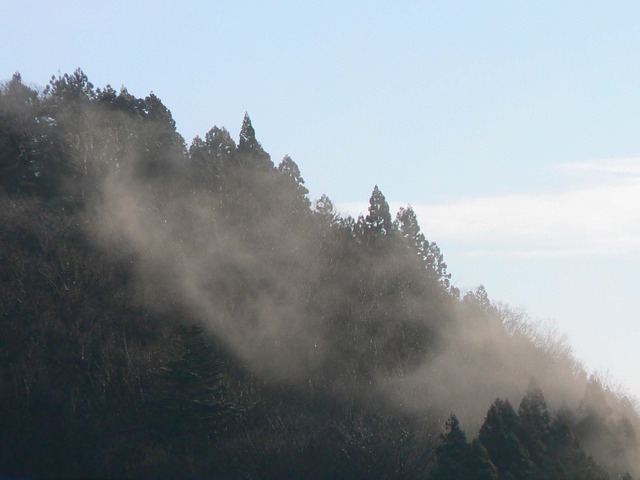 P1050759-2048.jpg