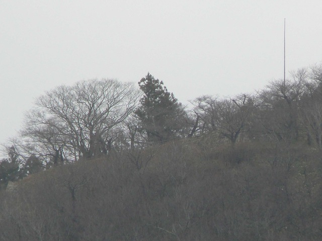 P1050769-2048.jpg