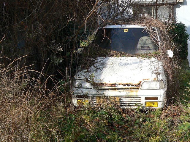 P1050814-2048.jpg