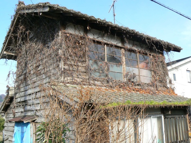 P1050815-2048.jpg