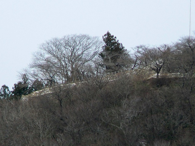 P1050876-2048.jpg