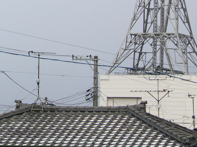 P1050881-2048.jpg