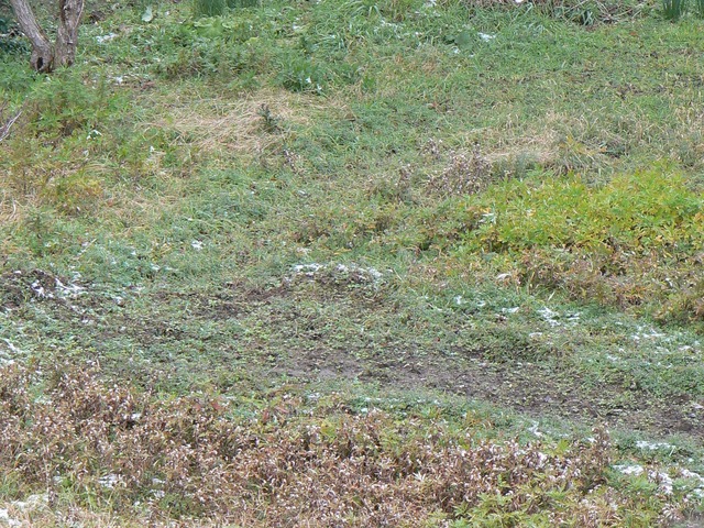 P1050892-2048.jpg