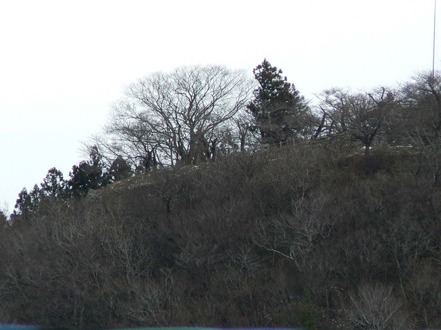 P1050902-2048.jpg