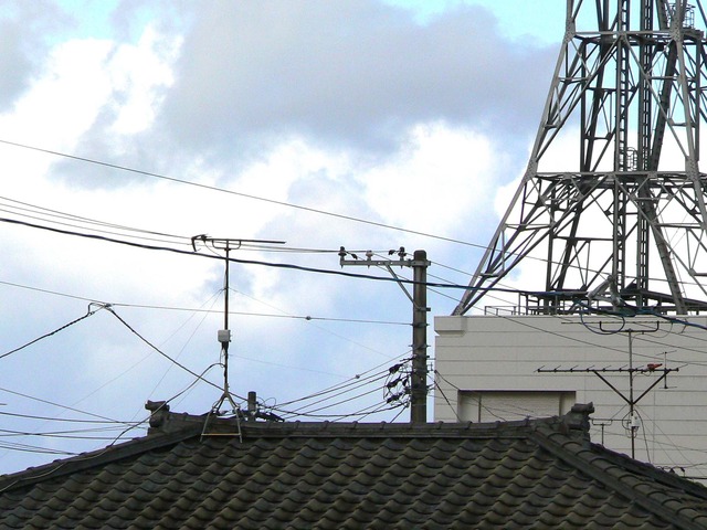 P1050903-2048.jpg