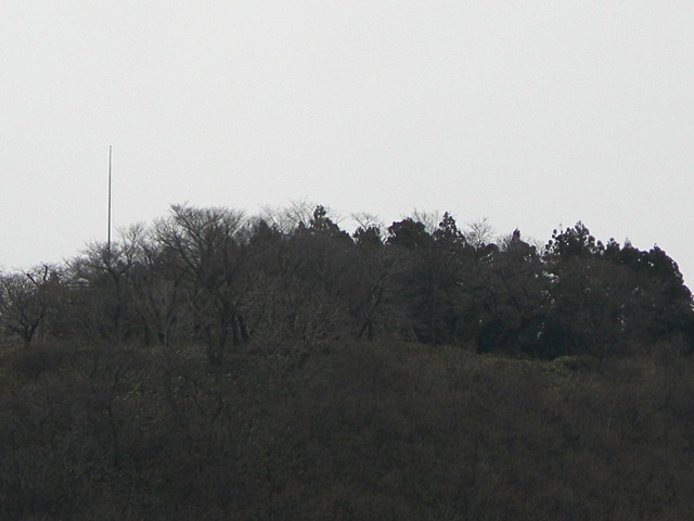 P1050931-2048.jpg