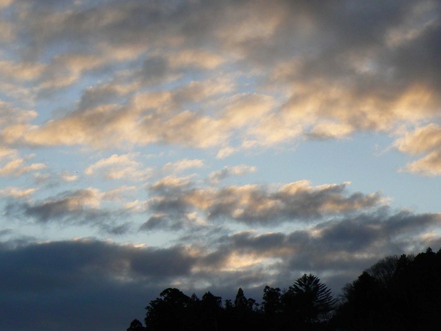 P1050940-2048.jpg