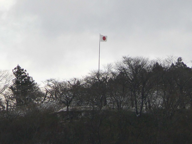 P1050952-2048.jpg