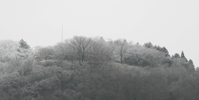 P1060029-2034.jpg