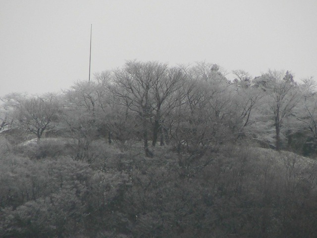 P1060031-2048.jpg