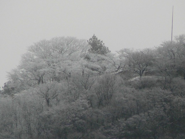 P1060033-2048.jpg