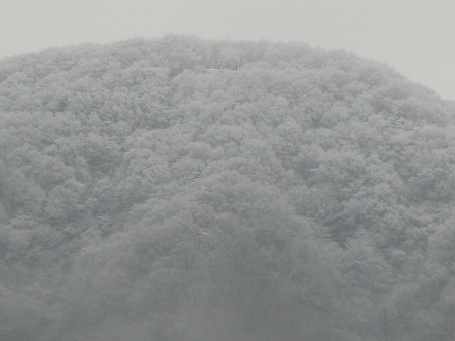 P1060047-2048.jpg