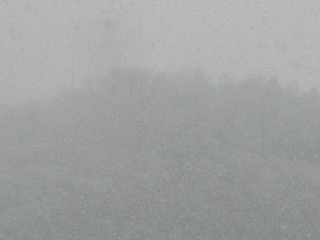 P1060056-2048.jpg