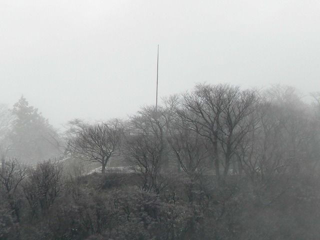 P1060073-2048.jpg